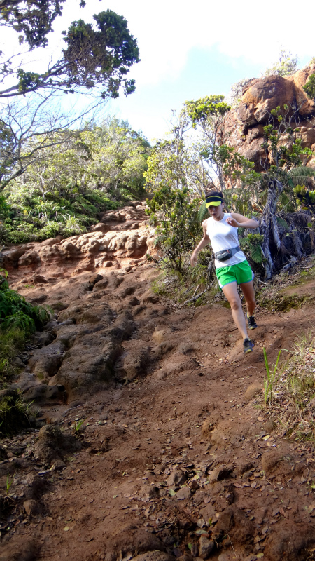 2013/01/11 Kauai island Trail Trip Day.5 Pihea Trail-Alaka\'i Swamp Trail-Kaluaphi Trail _b0220886_137177.jpg
