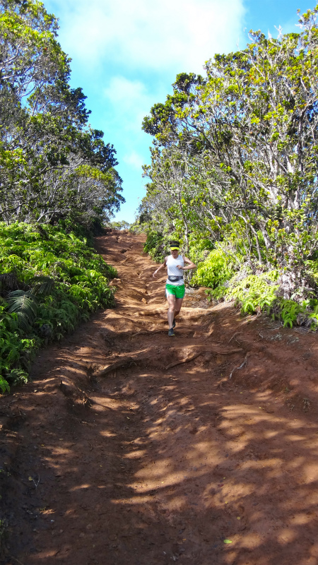 2013/01/11 Kauai island Trail Trip Day.5 Pihea Trail-Alaka\'i Swamp Trail-Kaluaphi Trail _b0220886_1373998.jpg