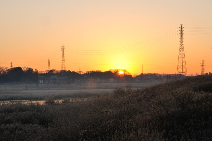 b0217090_135145.jpg