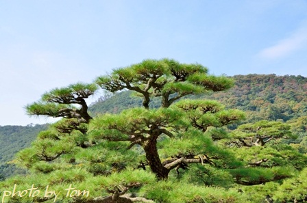 四国の旅～香川「栗林公園」北湖の景_b0155692_1142438.jpg