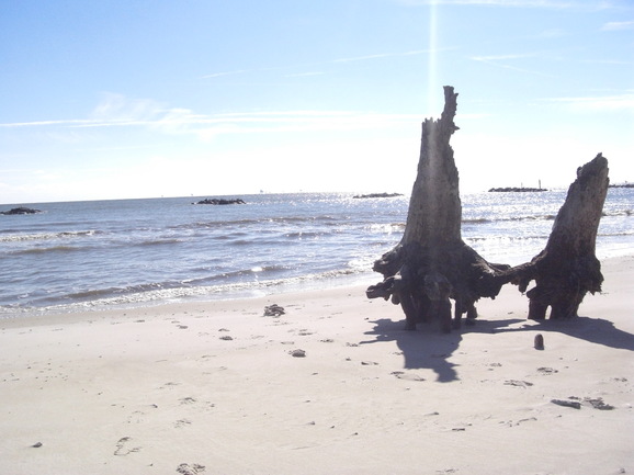 f0084492_6551663.jpg