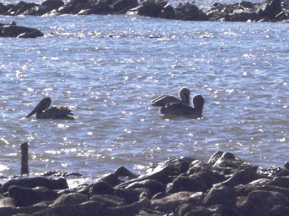 f0084492_6571017.jpg