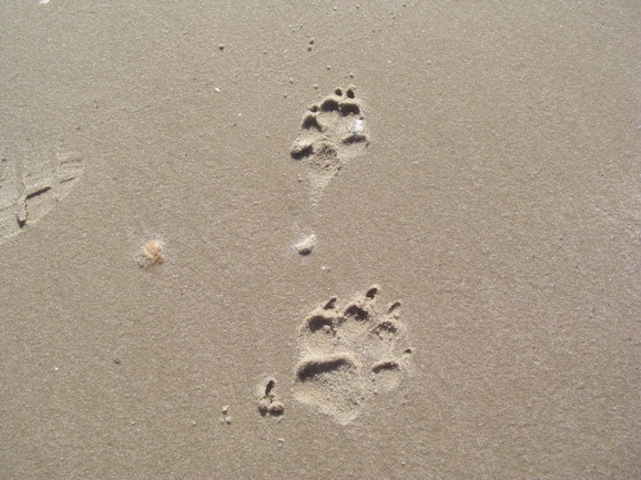 f0084492_6591027.jpg