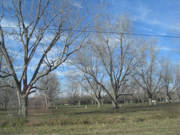 f0084492_7124020.jpg