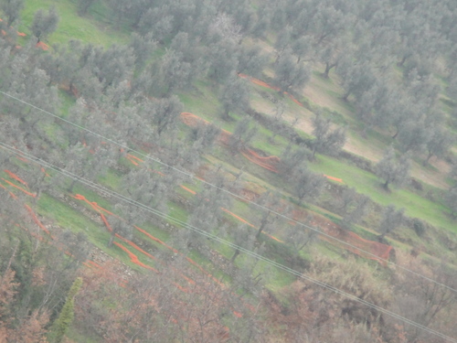 e0203793_15415640.jpg