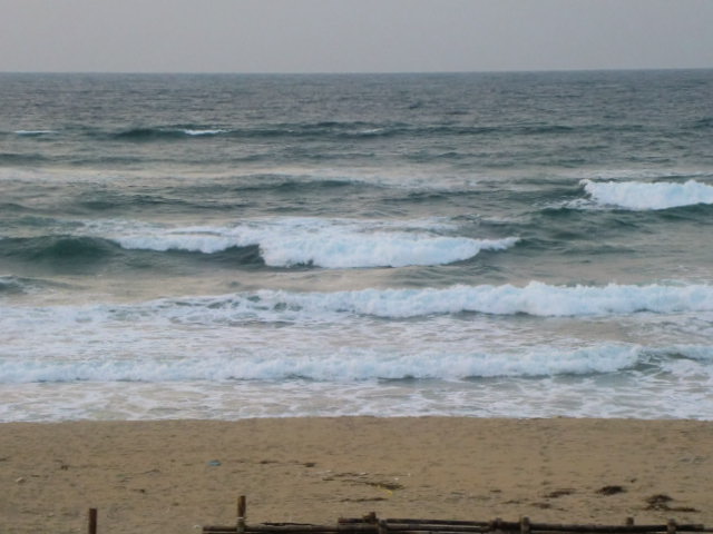 b0044296_2034485.jpg