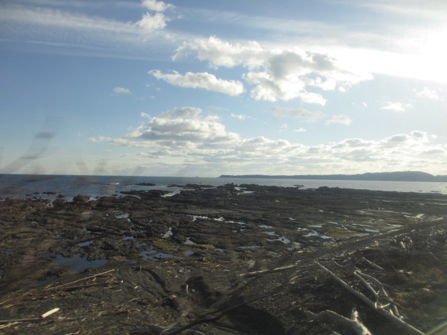 a0193698_8525879.jpg