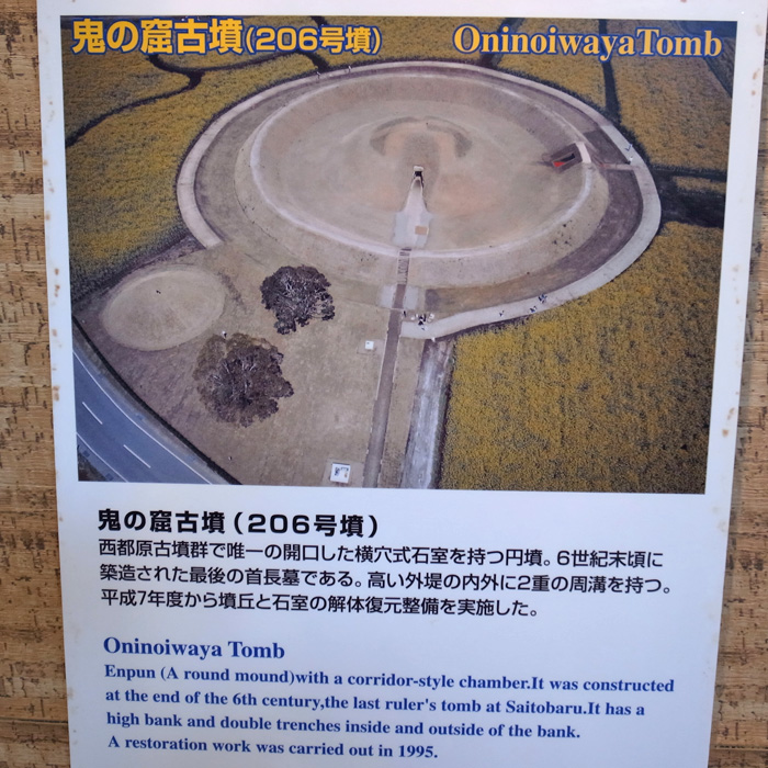 ひろびろ~すてきな散歩道_c0049299_102458.jpg