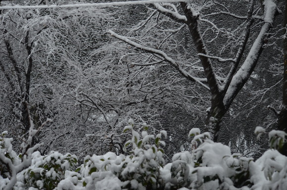 a0288500_13351699.jpg
