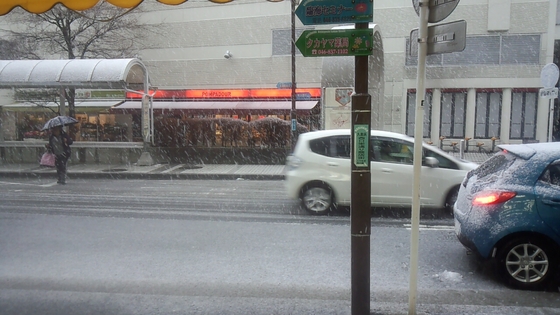 2013年 初雪 _d0092901_1348495.jpg