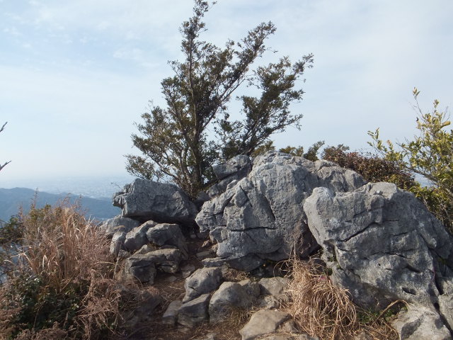 a0271502_0112429.jpg