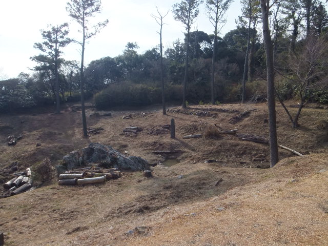 大知波峠廃寺跡～富士見岩～坊ヶ峰　　豊橋自然歩道を歩く_a0271502_11432238.jpg