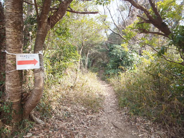 大知波峠廃寺跡～富士見岩～坊ヶ峰　　豊橋自然歩道を歩く_a0271502_1145188.jpg