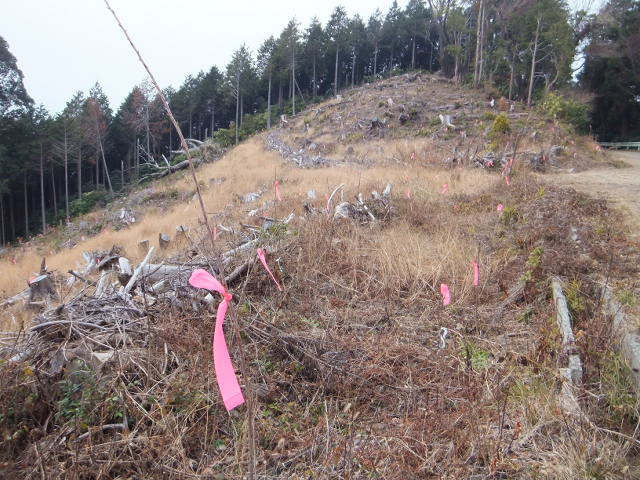 大知波峠廃寺跡～富士見岩～坊ヶ峰　　豊橋自然歩道を歩く_a0271502_1159132.jpg