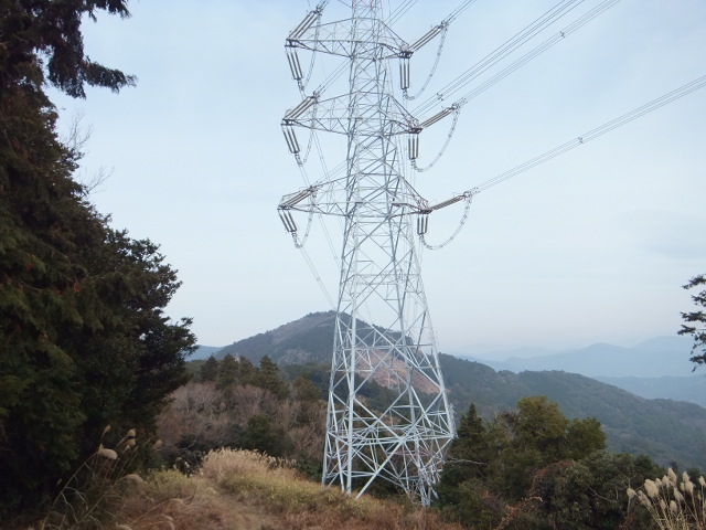 大知波峠廃寺跡～富士見岩～坊ヶ峰　　豊橋自然歩道を歩く_a0271502_19454776.jpg