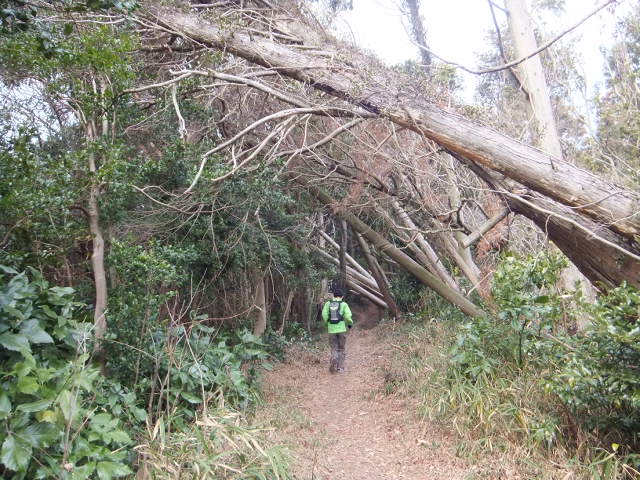 大知波峠廃寺跡～富士見岩～坊ヶ峰　　豊橋自然歩道を歩く_a0271502_19473937.jpg