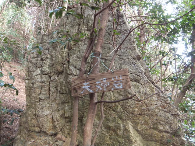 大知波峠廃寺跡～富士見岩～坊ヶ峰　　豊橋自然歩道を歩く_a0271502_2014920.jpg