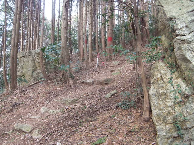 大知波峠廃寺跡～富士見岩～坊ヶ峰　　豊橋自然歩道を歩く_a0271502_20184833.jpg