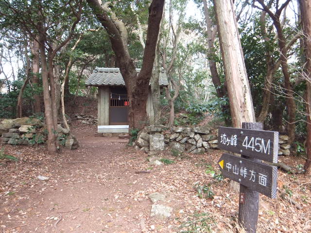 大知波峠廃寺跡～富士見岩～坊ヶ峰　　豊橋自然歩道を歩く_a0271502_20192747.jpg