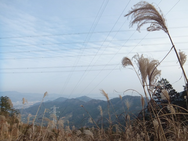 大知波峠廃寺跡～富士見岩～坊ヶ峰　　豊橋自然歩道を歩く_a0271502_20294323.jpg