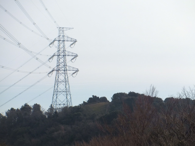 大知波峠廃寺跡～富士見岩～坊ヶ峰　　豊橋自然歩道を歩く_a0271502_20311474.jpg