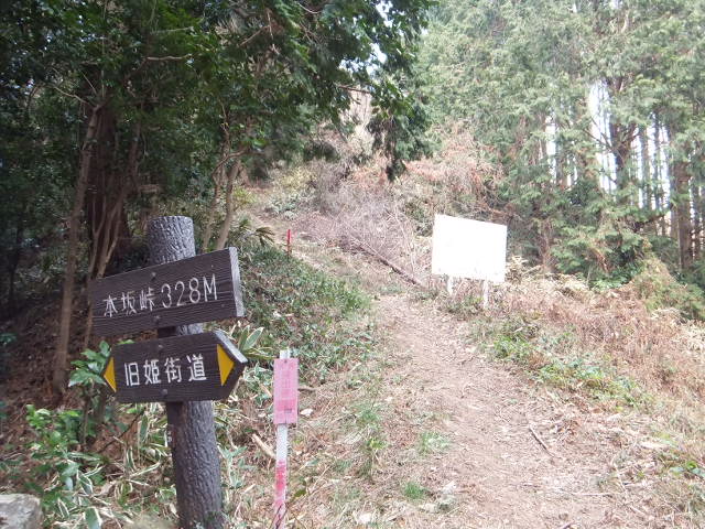 大知波峠廃寺跡～富士見岩～坊ヶ峰　　豊橋自然歩道を歩く_a0271502_2052947.jpg