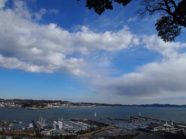b0180502_2032197.jpg