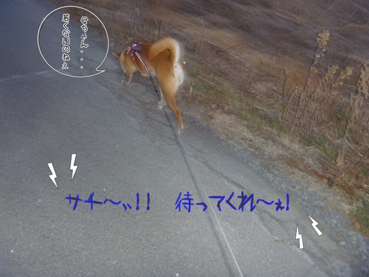 b0283404_1101258.png
