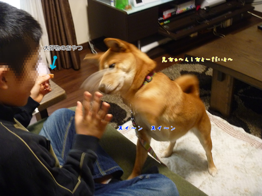 b0283404_11165553.png