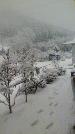 c0212604_11573075.jpg