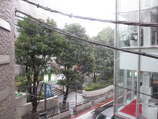 祝・成人式!_d0091909_10342728.jpg