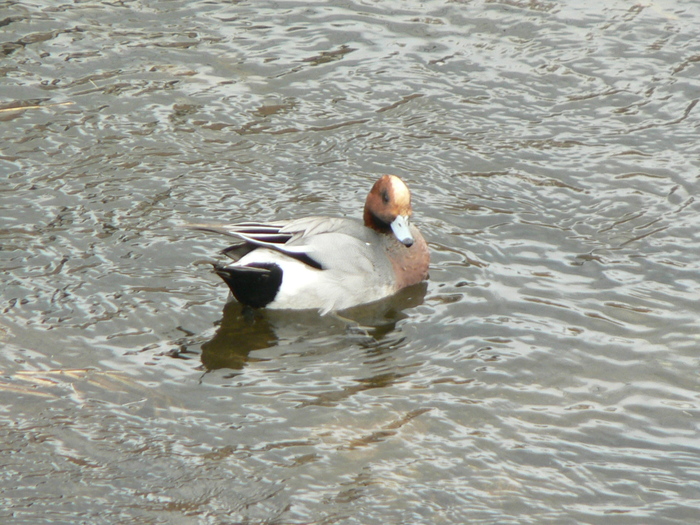 f0219710_7155651.jpg