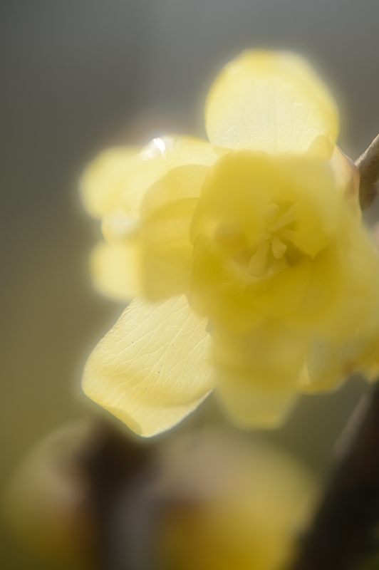 f0032011_14575131.jpg