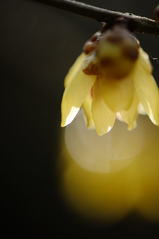f0032011_14581462.jpg