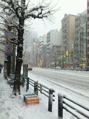 c0207113_22354861.jpg
