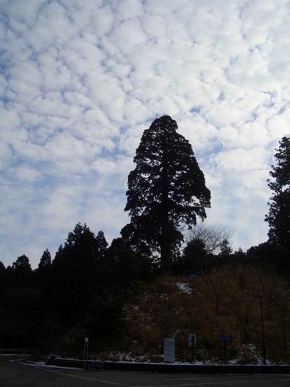 e0033713_12122165.jpg