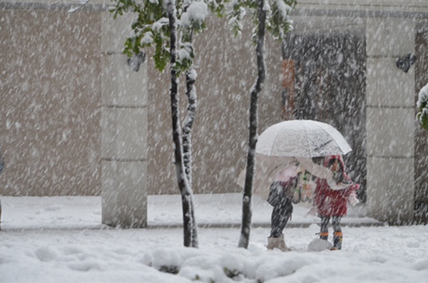 静かに雪が降ってきた_c0223117_23222037.jpg