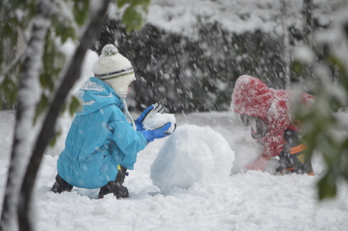 静かに雪が降ってきた_c0223117_23263128.jpg