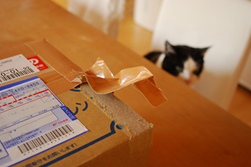b0259218_065943.jpg