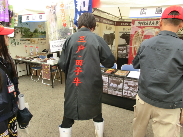 第28回 全国和牛能力共進会inながさきレポート1日目_d0237121_0273439.jpg