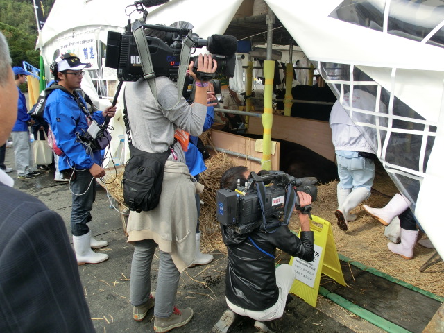 第28回 全国和牛能力共進会inながさきレポート1日目_d0237121_1344153.jpg