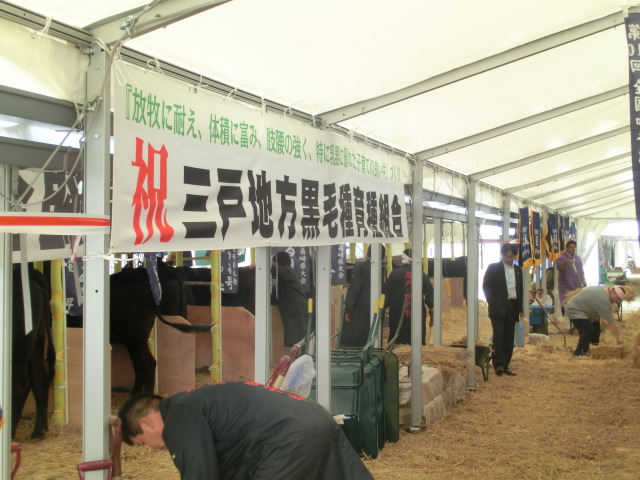 第28回 全国和牛能力共進会inながさきレポート1日目_d0237121_1355748.jpg