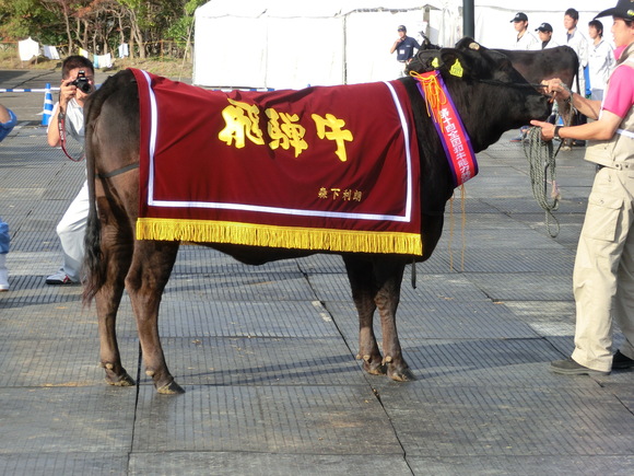 第28回 全国和牛能力共進会inながさきレポート1日目_d0237121_1422466.jpg