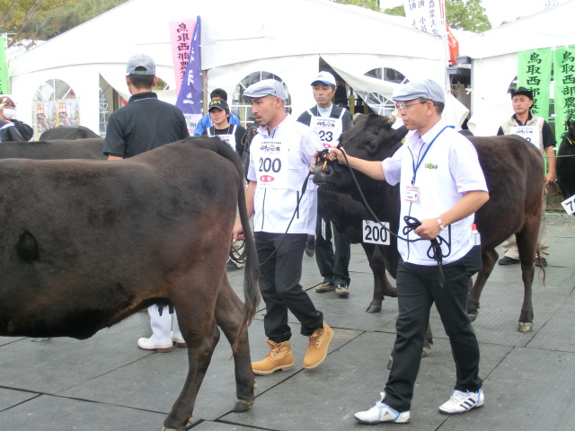 第28回 全国和牛能力共進会inながさきレポート1日目_d0237121_1523893.jpg
