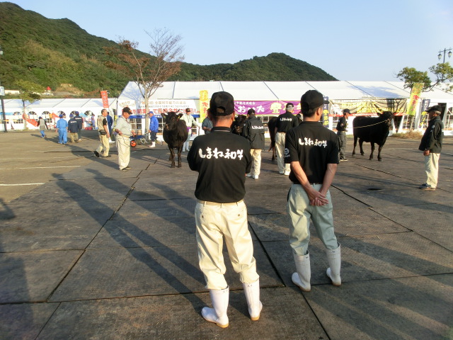 第28回 全国和牛能力共進会inながさきレポート1日目_d0237121_1552714.jpg