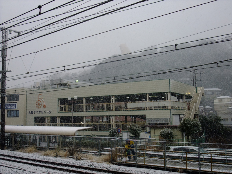 成人の日に鎌倉にも雪が降るのだ_e0189021_17553749.jpg