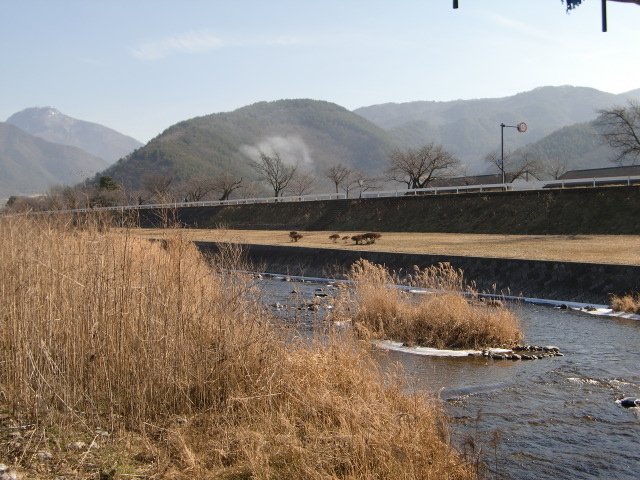 e0234924_7151181.jpg