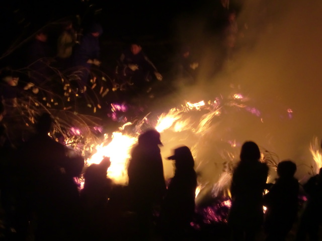 e0234924_731250.jpg