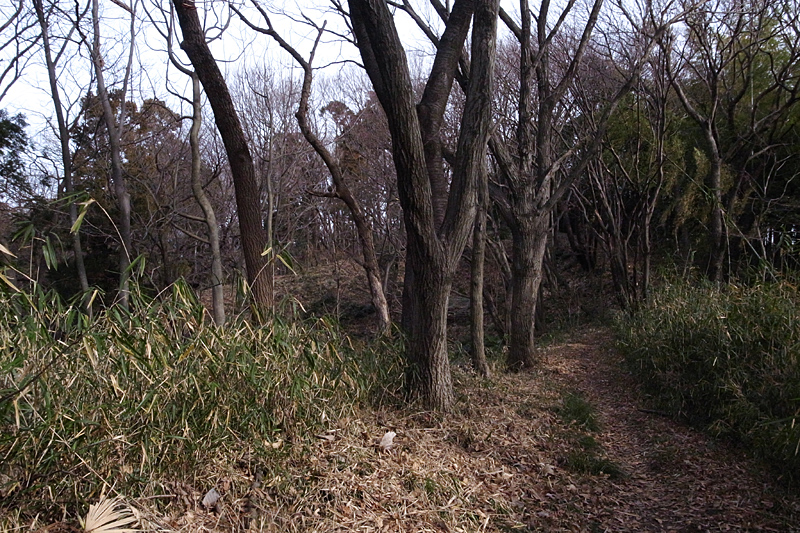 d0054625_0163765.jpg