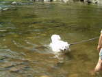 e0024126_16424498.jpg